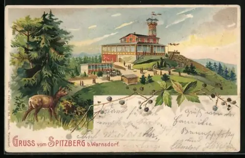 Lithographie Spitzberg, Gasthaus u. Aussichtsturm, Reh
