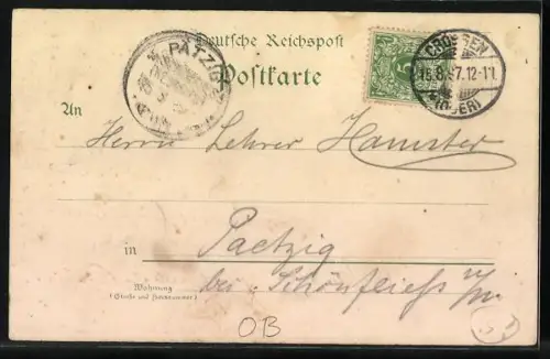 Lithographie Crossen, Panorama der Weinberge, Panorama der Stadtseite