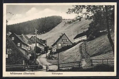 AK Wildemann /Oberharz, Sonnenglanz