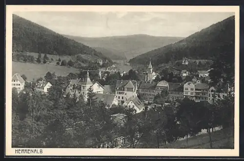 AK Herrenalb, Ortsansicht im Tal mit Kirche und umliegenden Gebäuden