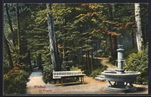 AK Wildbad / Schwarzwald, Kurpark, Brunnen, Sitzbank