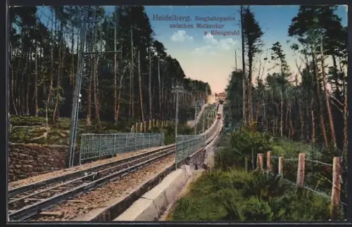 AK Heidelberg, Bergbahnpartie zwischen Molkenkur und Königstuhl