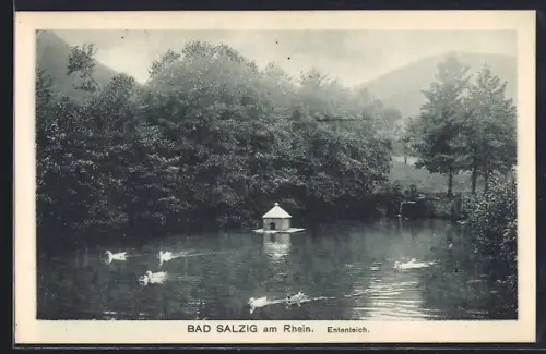 AK Bad Salzig am Rhein, Ententeich