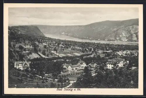 AK Bad Salzig a. Rh., Panorama, Rhein, Weinberge