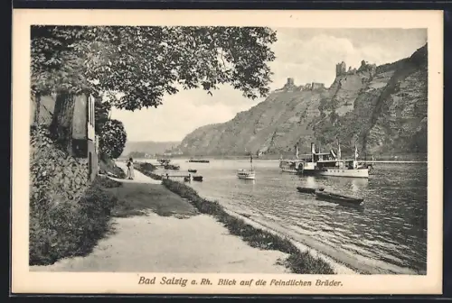 AK Bad Salzig a. Rh., Blick auf die Feindlichen Brüder