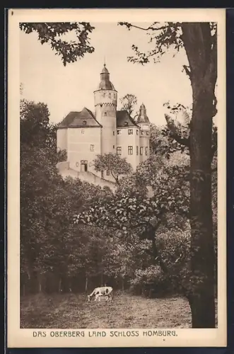 AK Nümbrecht, Schloss Homburg