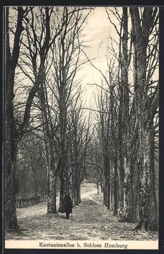 AK Homburg / Höhe, Kastanienallee bei Schloss Homburg