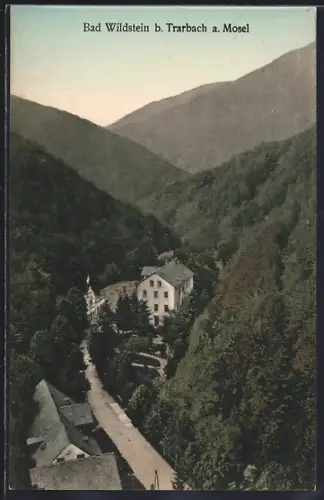 AK Bad Wildstein b. Trarbach, Panorama mit Strassenpartie