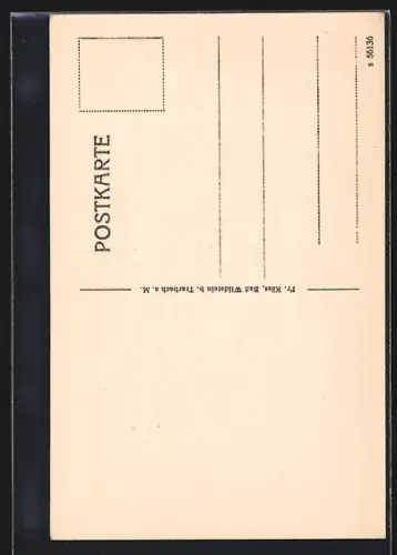 AK Bad Wildstein b. Trarbach, Panorama mit Strassenpartie