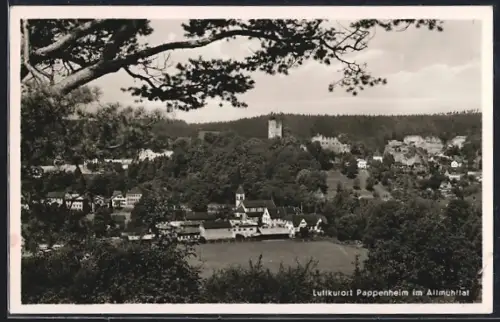 AK Pappenheim / Altmühl, Teilansicht mit Kirche