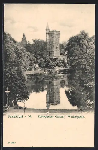 AK Frankfurt-Ostend, Zoologischer Garten, Weiherpartie