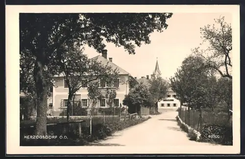 AK Herzogsdorf /O. D., Strassenpartie mit Bäumen