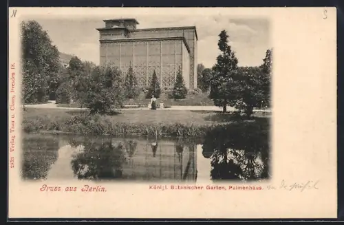 AK Berlin-Schöneberg, Königl. Botanischer Garten, Palmenhaus