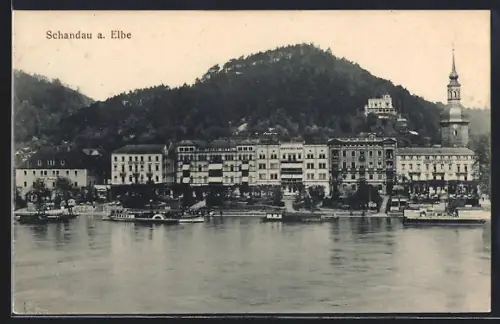 AK Schandau, Elbe-Partie mit Hotel- und Villen-Anlagen