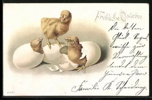 AK Fröhliche Ostern, Drei schlüpfende Osterküken