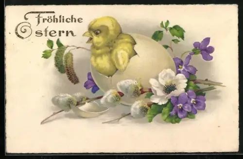 AK Osterküken schlüpft aus einer Eierschale