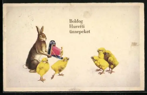 AK Osterhase fotografiert eine Schar Osterküken