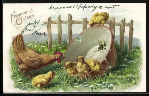 AK Glucke mit Osterküken beim Baden in einer Schale
