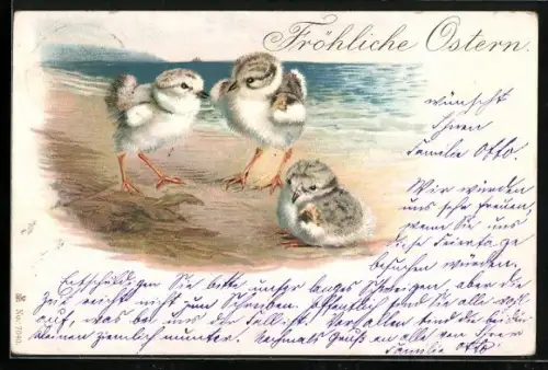 AK Drei Möwen-Küken am Strand, Fröhliche Ostern