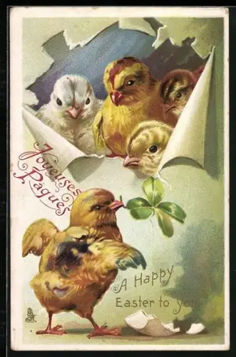 Künstler-AK Osterküken schauen durch ein Loch hindurch, A happy Easter to you