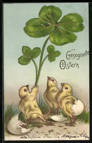 Lithographie Osterküken mit riesigem Klee, Gesegnete Ostern