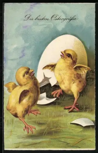 Künstler-AK Zwei Osterküken mit Eierschalen auf einer Wiese, Die besten Ostergrüsse