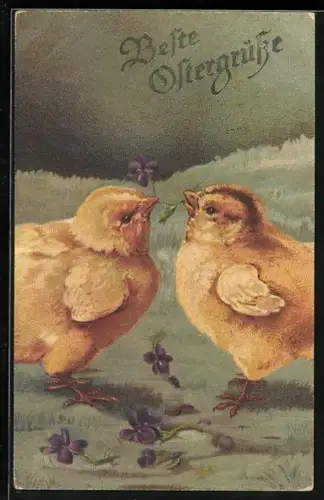 Künstler-AK Zwei Osterküken mit Vergissmeinnicht, Beste Ostergrüsse