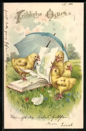 AK Osterküken mit Buch, Fröhliche Ostern