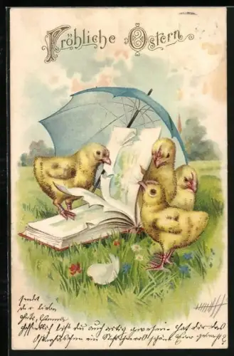 AK Osterküken zerrupfen ein Buch, Fröhliche Ostern