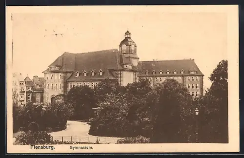 AK Flensburg, Gymnasium mit Anlagen aus der Vogelschau