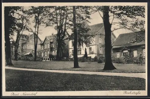 AK Bad Nenndorf, Parkstrasse, Villenpanorama