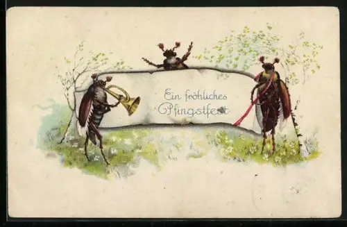 AK Maikäfer als Trompeter, Dirigent und Schildhalter mit Grussschild zwischen Birken, Pfingstgruss