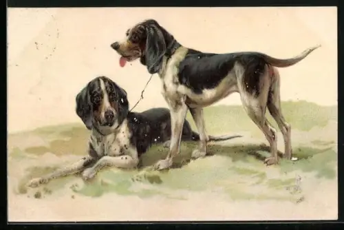 AK Zwei zusammengebundene Hunde