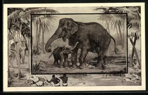 AK Elefant mit Jungem im Rahmen, Europäer und zwei Afrikaner auf Elefantenjagd