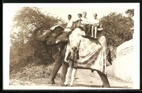 Foto-AK Touristen auf dem Rücken eines Elefanten