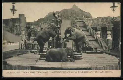 AK Franco-British Exhibition 1908, Hagenbecks Ceylon Village and Indian Arena, Elephants