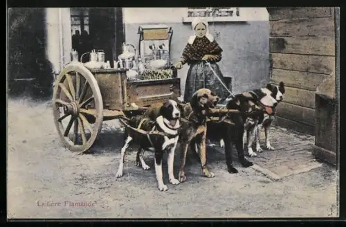 AK Flämische Milchverkäuferin mit Hundegespann in einem Hof