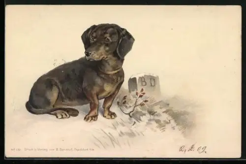 AK Ein Dackel am Grabstein