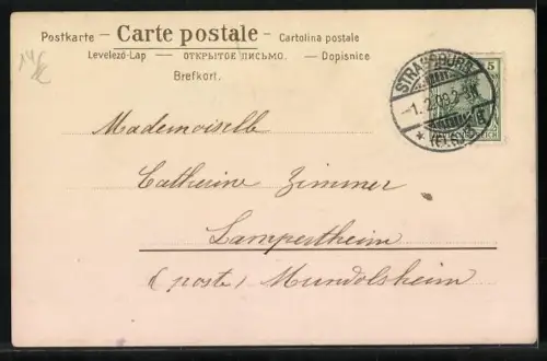 AK Ein Dackel am Grabstein