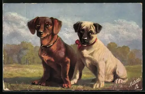 AK Dackel mit Gefährte auf einer Wiese, Portrait