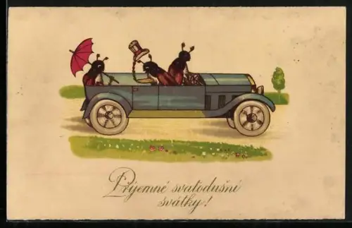 AK Maikäfer beim Pfingstausflug im Auto