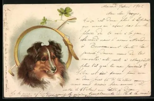 Lithographie Collie, Portrait mit Halsband u. Golfschläger