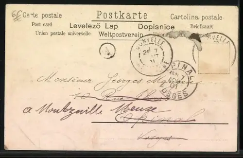 Lithographie Collie, Portrait mit Halsband u. Golfschläger