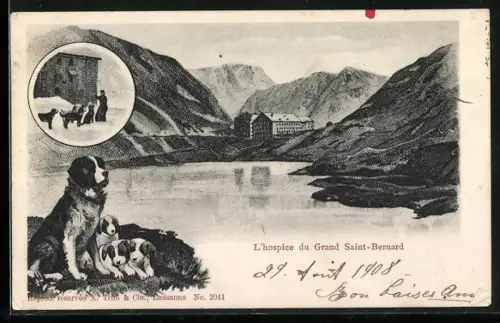 AK Grand Saint-Bernard, Hospiz, Bernhardiner mit Jungen