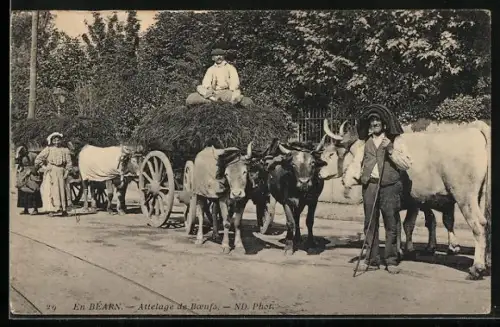 AK En Béarn, Attelage du Boeufs