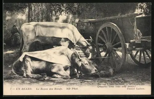 AK En Bearn, Le Repos des Boeufs