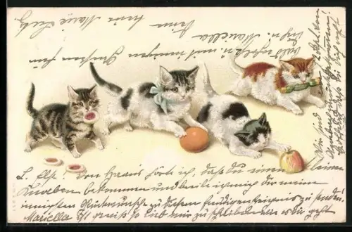 Lithographie Vier Kätzchen mit Orange, Plätzchen, Apfel und Knallbonbon