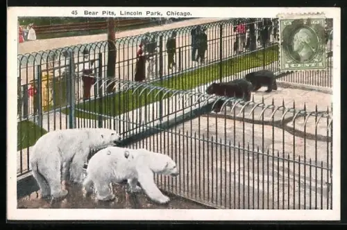 AK Chicago, Lincoln Park, Bear Pits