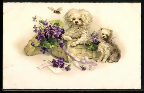 AK Zwei Hunde in einer Spanschachtel mit Blumen betrachten eine Wespe