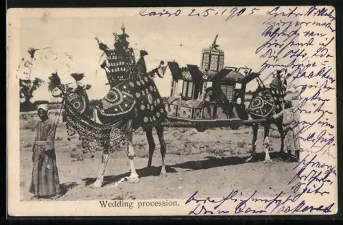 AK Egypte, Wedding procession, Camels
